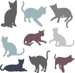 denochetodoslosgatos